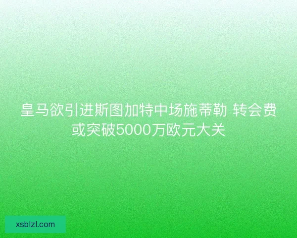 皇马欲引进斯图加特中场施蒂勒 转会费或突破5000万欧元大关