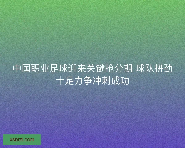 中国职业足球迎来关键抢分期 球队拼劲十足力争冲刺成功