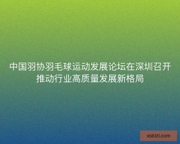 中国羽协羽毛球运动发展论坛在深圳召开推动行业高质量发展新格局